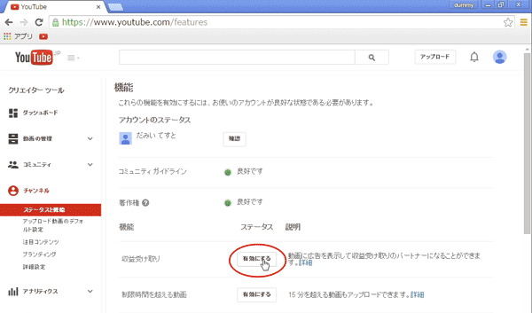 収入 Youtube